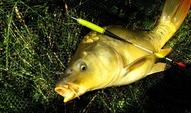 Hotový návazec Trophy Karpfen/Carp Size 4, 0,30mm, 70cm