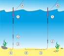 Zebco Návazec Trophy Rotauge 10 ks Size 10, 0,17mm, 70cm