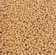 Coppens Pelety bez díry Premium Coarse 8mm 25kg