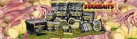 Starbaits Boilie Probiotic Ginger and Squid 20mm