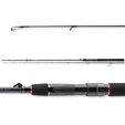 Daiwa Prut Tournament SW AGS 2,10 m,  14-42 g