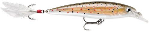 Rapala Wobler X-rap 10cm XR10 TR