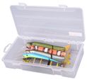 Spro Box na bižuterii Tackle Box 230x120x42mm