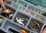 Spro Box na bižuterii HD Tackle box - Medium 22x29x6cm